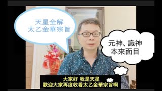 7 只要知道修元神！你就可以回歸本源！本集告訴你如何超脫天地！本來面目真相？！金花的秘密