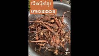 យិនសុិនខ្មែរព្យាបាលជំងឺ100មុខ លក់ 人参高棉治疗100种疾病出售  Ginseng Khmer treats sale 016293829 017293829