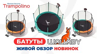 Батуты Wallaby. Живой обзор новинок - линеек Sydney и Jampy (Trampolino.ru 2024)