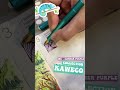 KAWECO IGUANA BLUE ZEN DOODLE PEN TEST - M Nib - Kaweco Summer Purple Ink