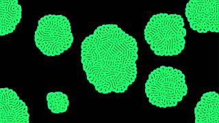 Reaction Diffusion with various parameters (openframeworks)