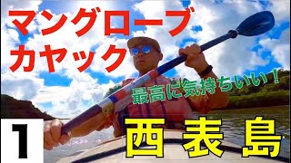 マングローブをカヤックで＆沢登り！！バックパッカーひとり旅ルイフが行く！【西表島】