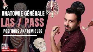 ANATOMIE GENERALE 🦴 : Les positions anatomiques (crânien, caudal, medial, latéral, proximal, distal)