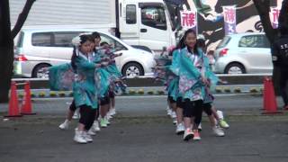 あやせイルミdeよさこい'16 ムーンチャイルド 流し