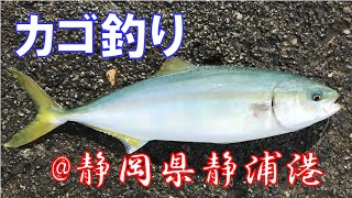 両軸遠投カゴ釣り うれしい来客 @静岡県静浦港