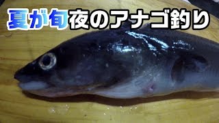 夏が旬、夜の漁港でアナゴ釣り【試食レビューあり】