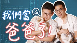 升格當爸爸！史九87 頻道新成員 🐱