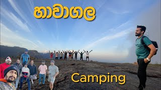 HAWAGALA CAMPING