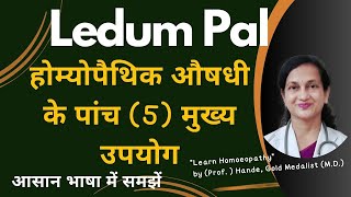 Ledum Pal | Dr. Hande's Explanation of Medicine | Five Principal Symptoms | B.H.M.S