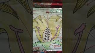 Biology , structure of flower,Class-12th pusp ki sanrachana, Parts of flower