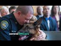 wrongfully convicted cop begs to see his k9 one last time – what happened next shocked everyone