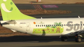 ✈[4K] ポケモンとコラボ“ナッシーリゾートin宮崎号” ソラシドエア B737 JA812X landing @Haneda Airport rwy34L(羽田空港/HND)