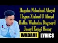 CALI ZAKI HEES CUSUB JACEYL KEYGI HORE 2020 LYRICS