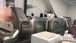 Liquid Nitrogen Food Cryogenic Freezer Field Commissioning Today