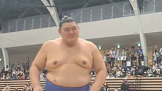 大相撲巡業彦根場所　これより三役　#sumo 　#三役　#取組　#大相撲