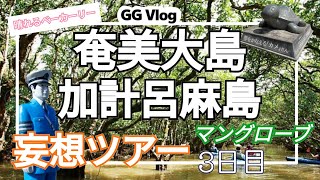 144 【奄美大島/加計呂麻島/妄想ツアー/3日目】芝海岸/実久海岸/佐知克海岸/スリ浜海岸/渡連海岸/マングローブ/晴れるベーカーリー/あやまる岬観光公園/夢をかなえるカメ/笠利崎灯台/R5/4