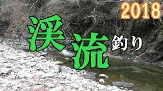 【渓流釣り】渓流解禁！南秋川で渓流釣りをしてみたが…！Mountain stream fishing