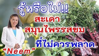 รู้หรือไม่ !! สะเดา สมุนไพรรสขมที่ไม่ควรพลาด | Neem | พี่ปลา Healthy Fish