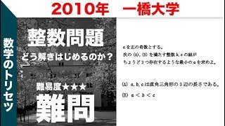 大学入試 大学受験 数学 解説 難問 2010年 一橋大学 整数 高校数学