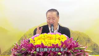 卢台长开示：【师父讲故事：四种良马与四种善男子 你属于哪一种？】白话佛法开示精选