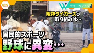 少年野球の競技人口が激減！背景には何が…阪神タイガースの取り組みも【ウェークアップ】