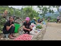 full video harvesting agricultural products to sell building a new life