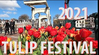 Tulip Festival Amsterdam 2021