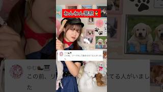 リードを外して散歩は違反になる！？ #tiktok #shorts