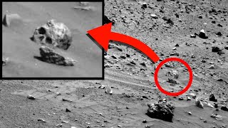 8 Craziest Recent Discoveries!