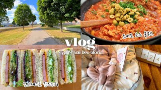 SUB•VLOG🇩🇪 #61 👶🏻 30일 아기와 함께하는 독일일상, 🍚집밥브이로그 (불구르, 육회비빔밥, 명이페스토 샌드위치, 알리익스프레스\u0026dm 언박싱, U3진료)