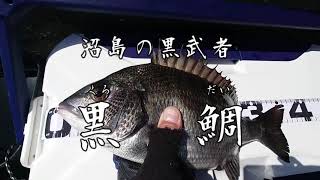 孤高のいぶし銀を釣るのだ！【沼島】