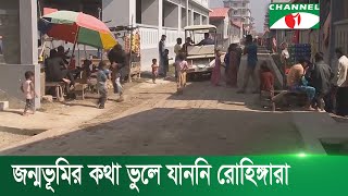 নিরাপত্তা ও নাগরিকত্ব নিশ্চিত হলে রোহিঙ্গারা ফিরে যেতে চান রাখাইন রাজ্যে