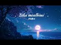 Bika moulhimi muffled nasheed 1 hour loop🌷✨️(rest your mind🕊)