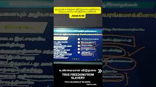 உண்மையான விடுதலை | True Freedom from Slavery #shorts #truth #gospel #wordofgod #god