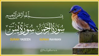 Surah Yaseen (Yasin) | Quran Tilawat | Surah Rahman Surah Yasin Arabic Text HD 36