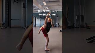 The BEST Stretch for High Kicks ✅🥋 #karate #mma #shorts #martialarts #flexibility  #stretching