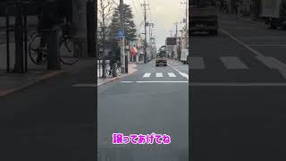 横断歩道渡ろうとしてたら譲ってあげてよお願い😊【shorts】