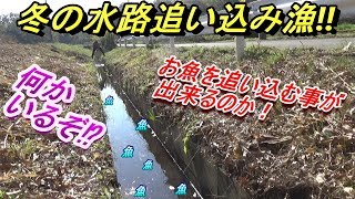 冬の水路追い込みだ～‼　の巻