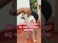 ලස්සනට අන්දපන් මල්ලි ඕක 💐🐶 shorts viralshorts