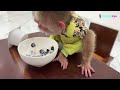 monkey kyo broke a bowl – worried and nervous as dad comes home