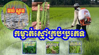 #កម្ចាត់ស្មៅយួន#ស្រងែ#កេរលក#0974343555