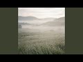 Pale Drift