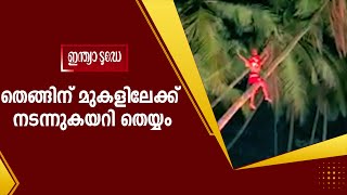 തെങ്ങിന് മുകളിലേക്ക് നടന്നുകയറുന്ന  തെയ്യത്തിന്റെ വീഡിയോ കാണാം | Theyyam | Indiatoday Malayalam