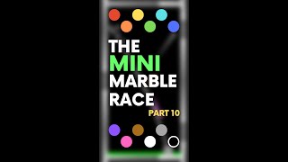 The Mini Marble Race (Part 10/11)