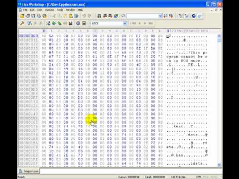 Hex Editor Password Hack with demonstration Hex Editor Password Hack with demonstration