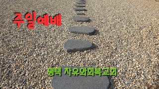 2024.07.07 험한 십자가 능력있네. 나 아닌 주를 바라보게 한다. 행20:28