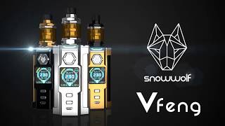 Sigelei Snowwolf Vfeng First Look