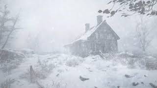 Cozy Winter Ambience ❄️ Howling Wind \u0026 Blizzard Sounds for Stress Relief \u0026 Deep Sleep