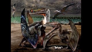 Over 200 Fossilized Eggs Found in China Reveal How Pterosaurs Breed