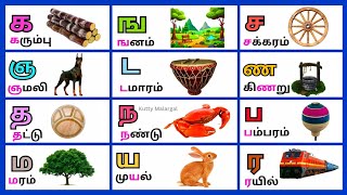 கஙசஞட உயிர் மெய் எழுத்துக்கள்/Uyir Mei Eluthukkal/Tamil Letters for Kids/அ வரிசை உயிர் மெய் சொற்கள்